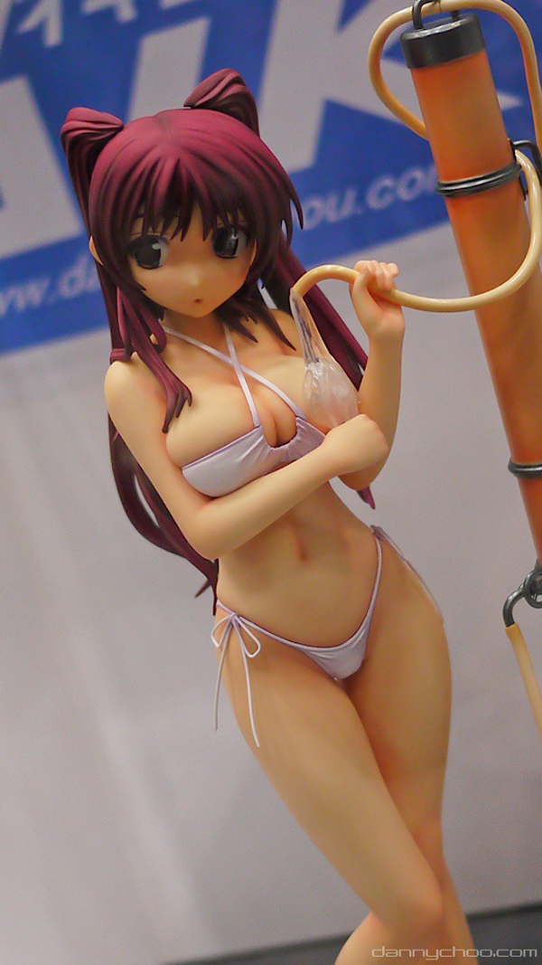 Wonfes 2011 Winter: Culture Japan Coverage 87