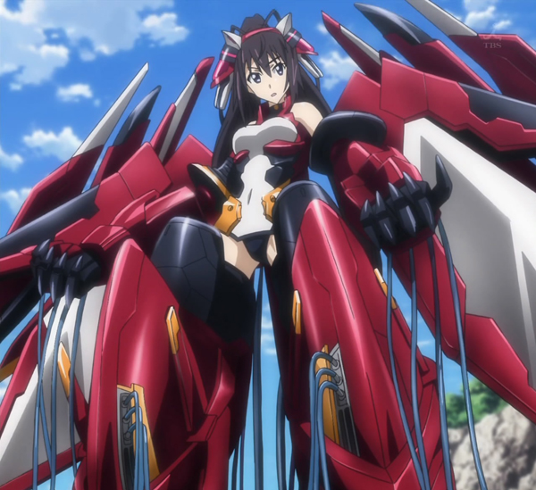 Infinite Stratos: Shinonono Houki (3)