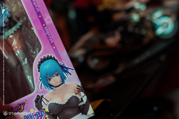 Kurumu Swags (2)