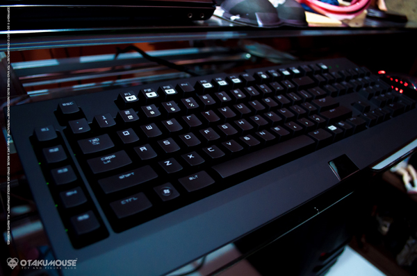 Razer Black Widow Ultimate 2013 1 Razer Black Widow Ultimate 2013 (8)