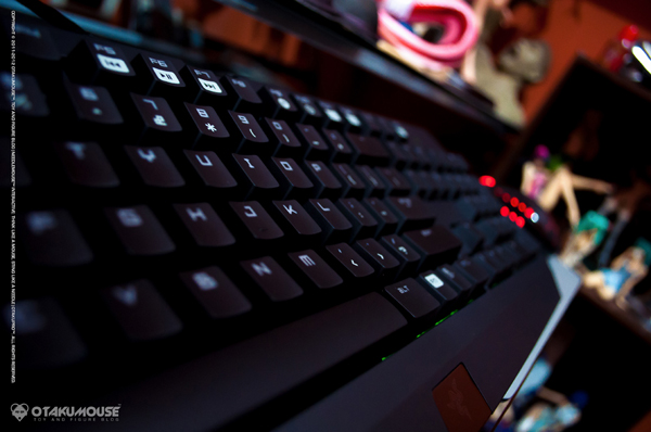 Razer Black Widow Ultimate 2013 (6)