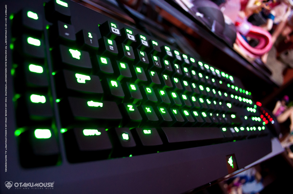 Razer Black Widow Ultimate 2013 4 Razer Black Widow Ultimate 2013 (5)