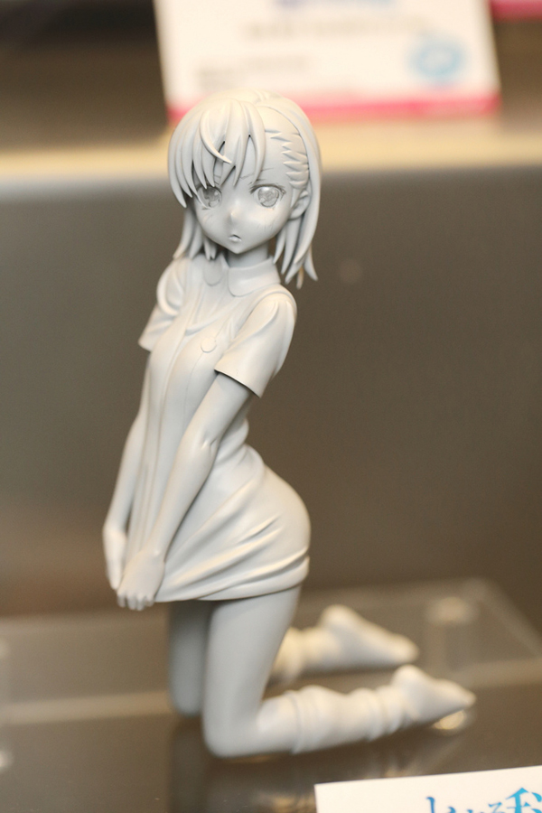 Wonfes 2013 Winter Coverage On Flickr 2 3 Wonfes 2013 Winter Coverage on Flickr