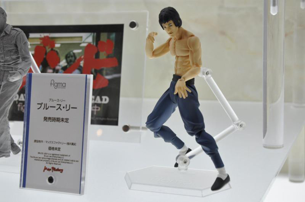 Wonfes 2013 Winter Coverage (14)