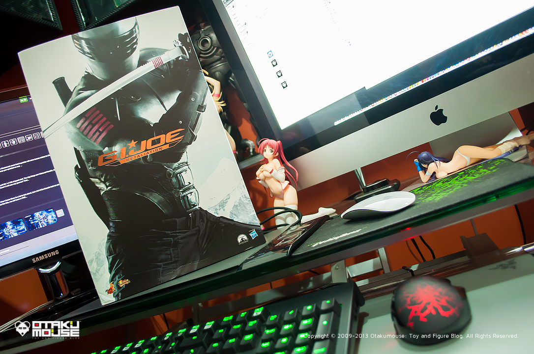 Hot Toys Snake Eyes (G.I. Joe: Retaliation) Arrived! 3 Hot Toys Snake Eyes (G.I. Joe: Retaliation) Arrived! (3)