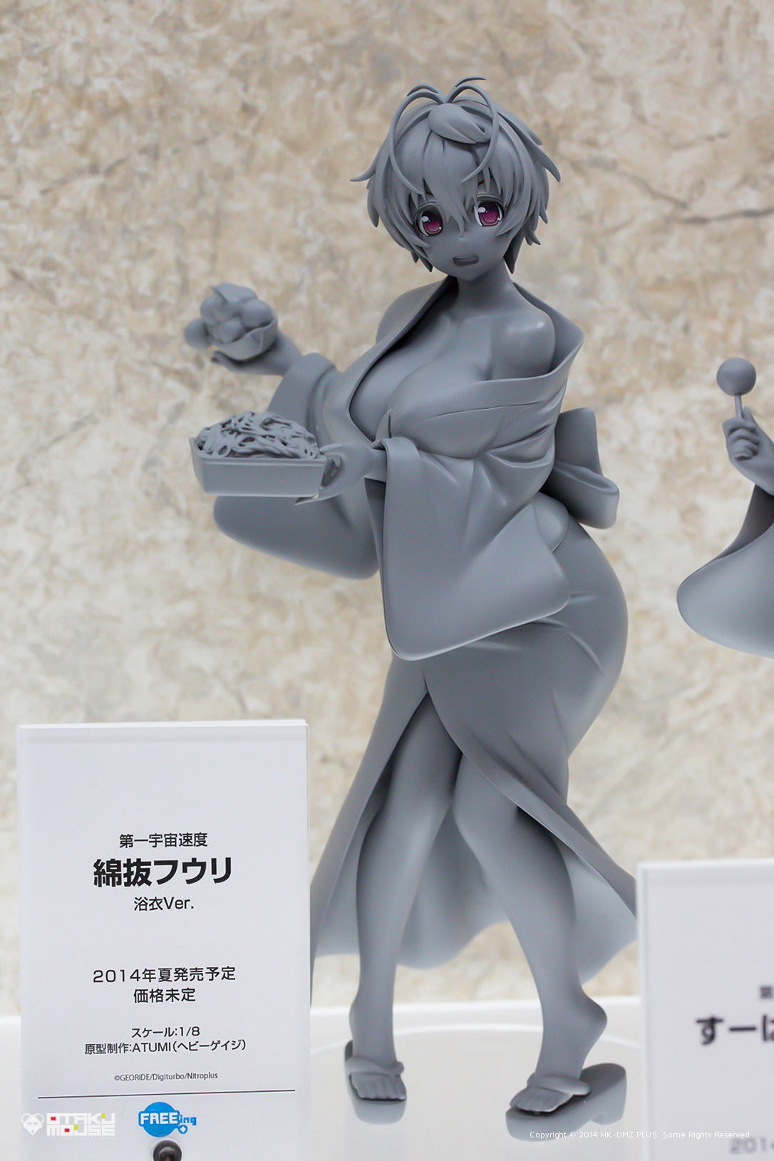 Wonfes 2014 [Winter] Digest Version - Scale Figures (38)