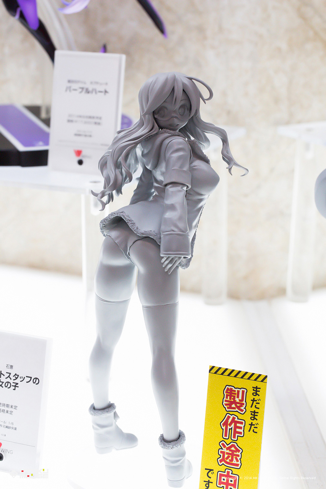 Wonfes 2014 [Winter] Digest Version - Scale Figures (47)