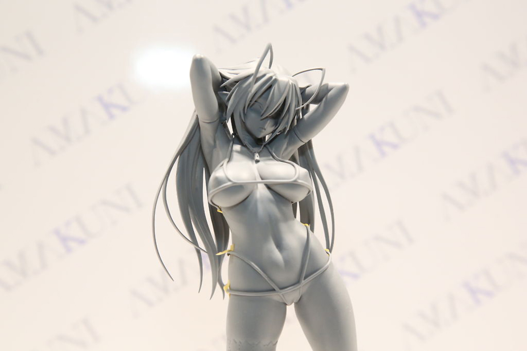 Wonder Festival 2014 [Winter] - Akibahobby Coverage (19)