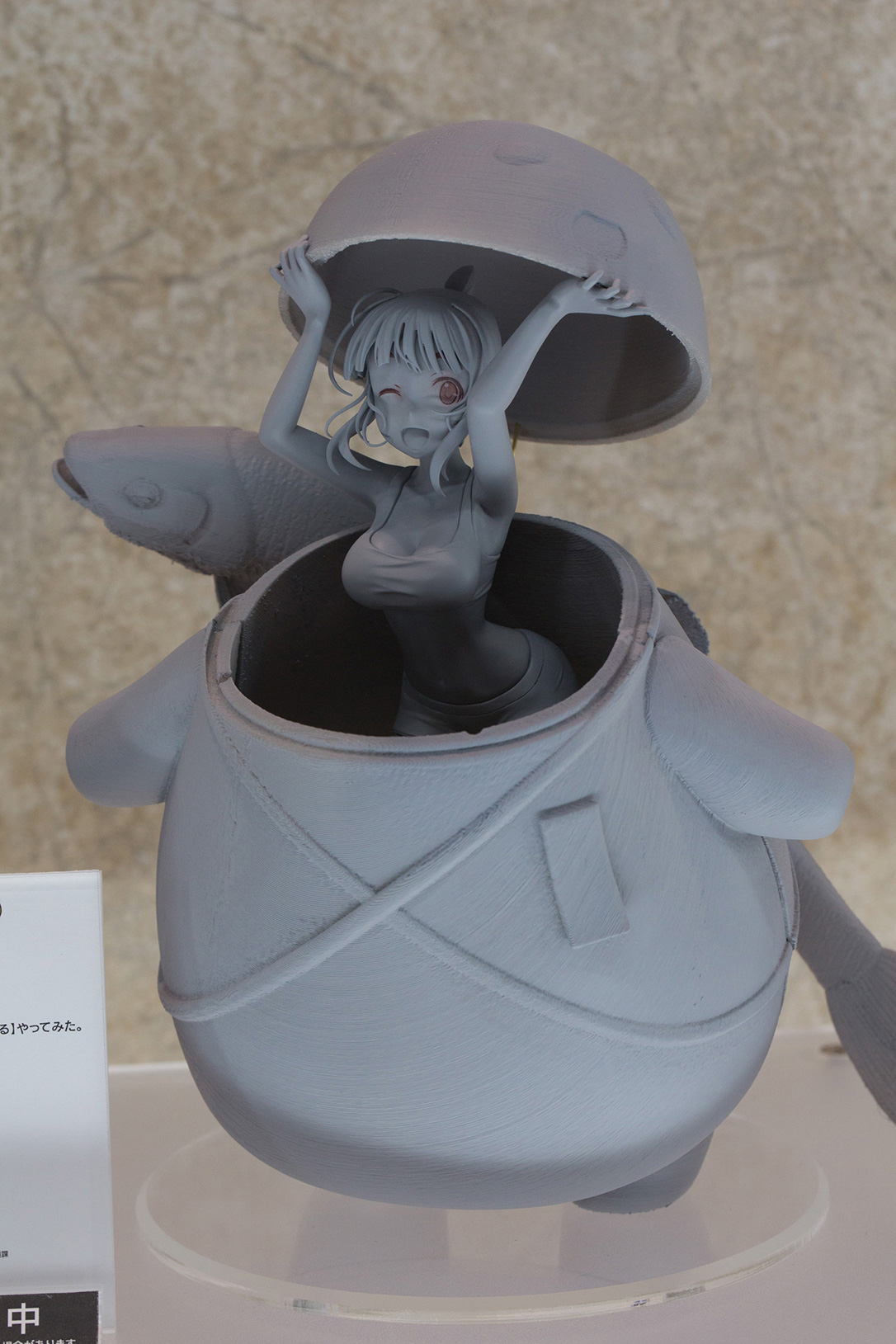 The Ultimate Wonfes 2015 Winter Coverage | Part 9 (15)