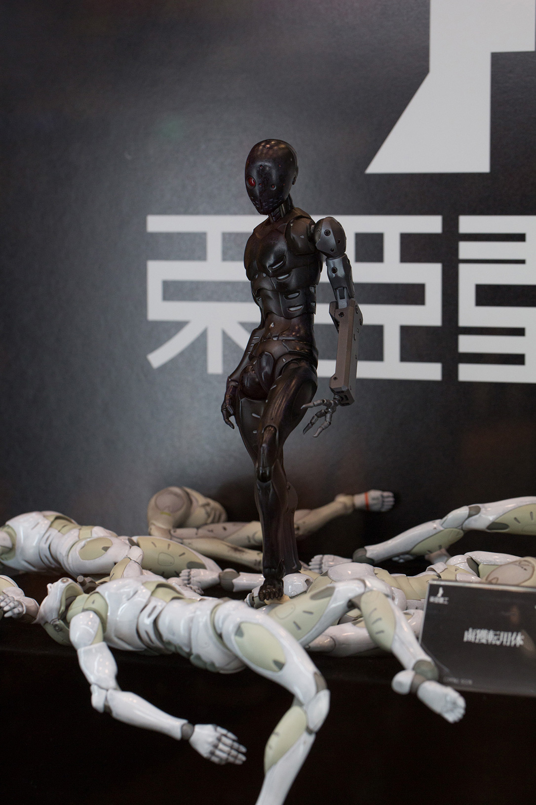 The Ultimate Wonfes 2015 Winter Coverage | Part 7 (6)