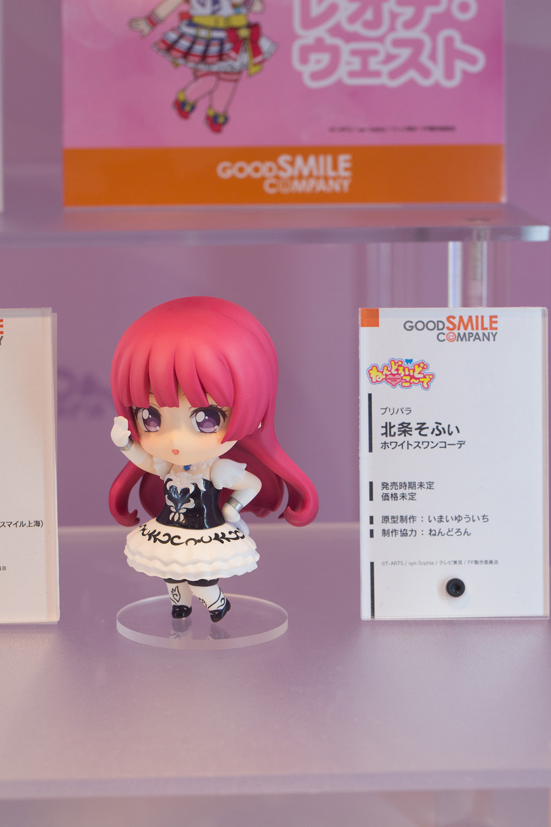 The Ultimate Wonfes 2015 Winter Coverage | Part 5 (10)